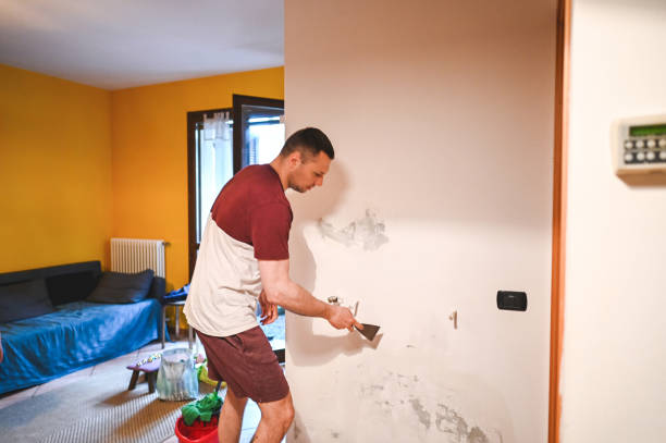 Best Residential Mold Remediation in Lake Placid, NY